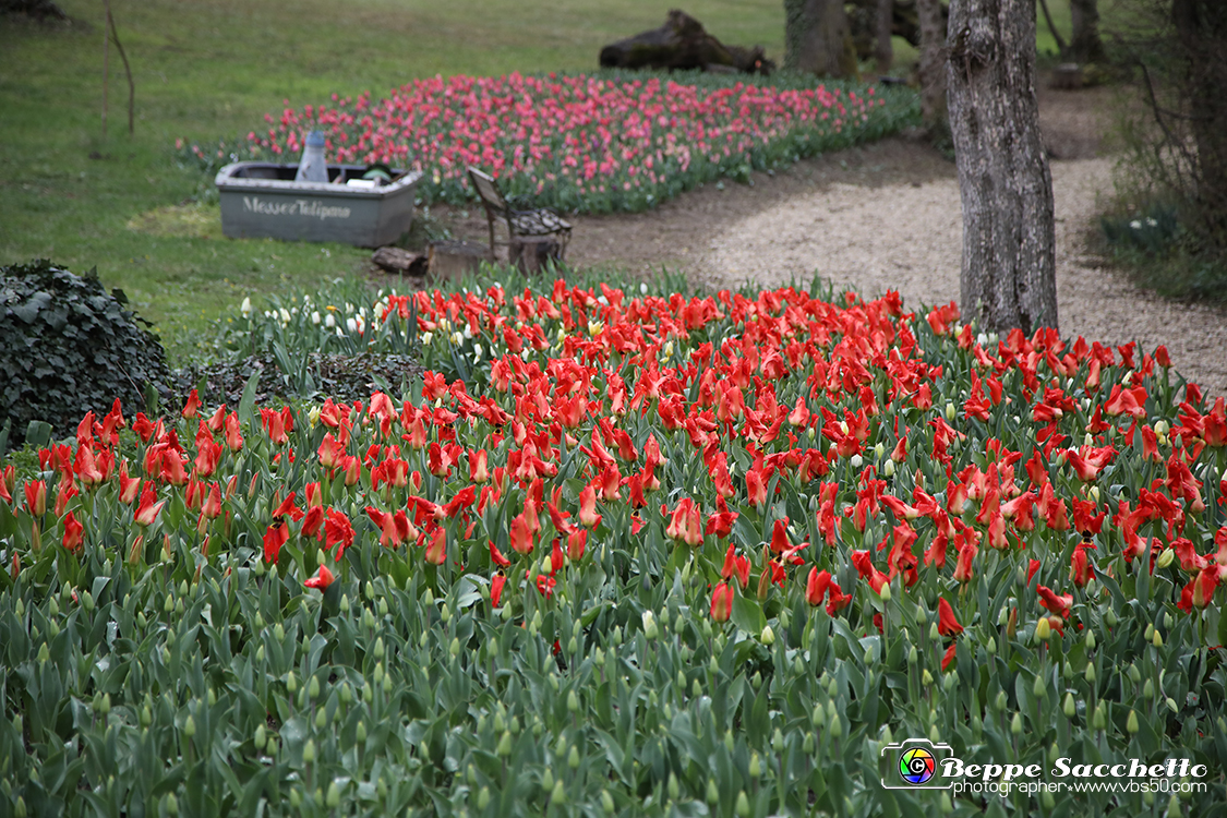 VBS_7575 - Inaugurazione Messer Tulipano 2022 Castello di Pralormo - XXII Edizione.jpg
